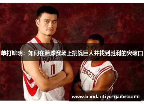 单打姚明：如何在篮球赛场上挑战巨人并找到胜利的突破口