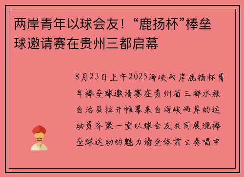 两岸青年以球会友！“鹿扬杯”棒垒球邀请赛在贵州三都启幕